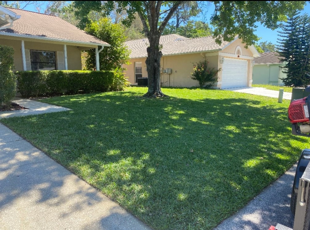Keep Your Lawn Healthy & Green